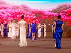 重慶第五屆職業教育活動周啟動，茶藝、扎染、3D打印與禮儀文化共展職教風采